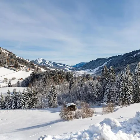 Blick Auf Rosskopf * Wildschoenau
